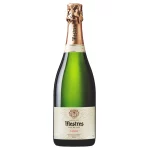 MESTRES VISOL / Propietat de la familia Sant Sadurní d´Anoia